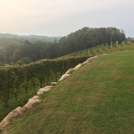 https://stage.genussakademie.com/dateien/gallerien/thumb_quadrat/1303.jpg